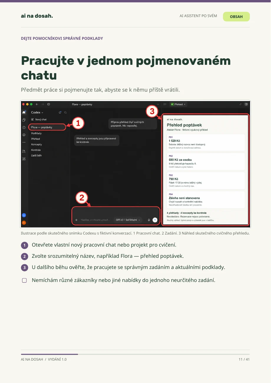 Skutečná stránka PDF AI asistent po svém: Zadání a skutečný výstup vedle sebe